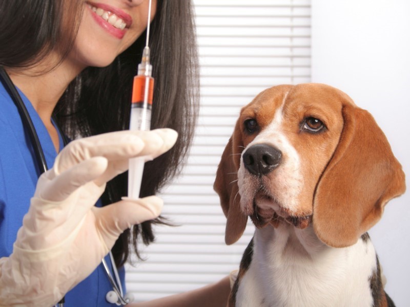 Aşı ve Aşılama Takibi