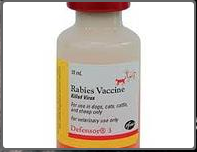 Kuduz Titrasyon Testi